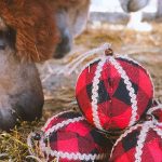 🎄 Il Natale è arrivato in A&Alpaca!