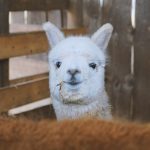 ESPERIENZA TURISTICA INCLUSIVA